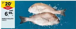 Pargo Mulato Fresco