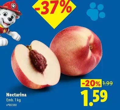 Nectarina