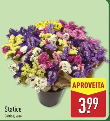 Storitide