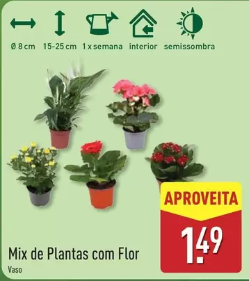 Mix -  De Plantas Com Flor