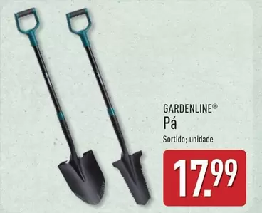 Pá