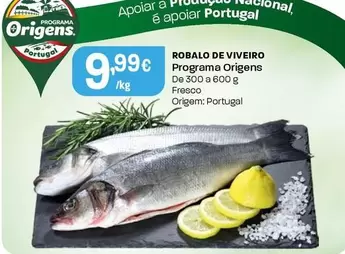 Programa Origens - Robalo De Viveiro