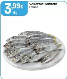 Carapau Pequeno