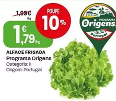 Programa Origens - Alface Frisada