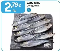 Sardinha Congelada
