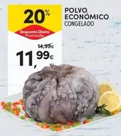Polvo Economico