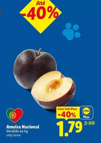 .Com - Ameixa Nacional