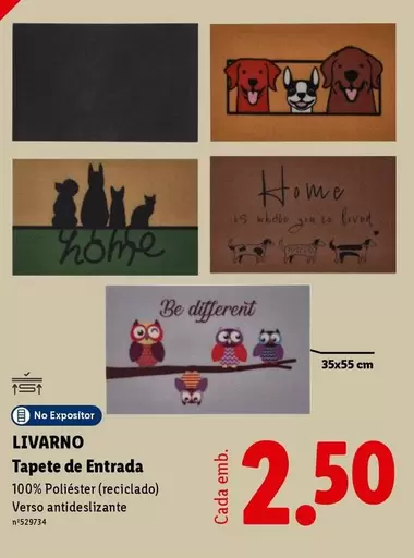 Tapete De Entrada