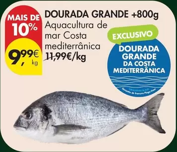 Aquacultura - Dourada Grande +800g