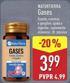 Naturtierra - Gases
