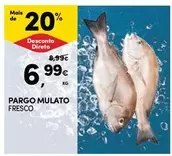 Pargo Mulato