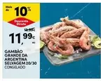 Gambão Grande Da Argentina Selvagem 20/30