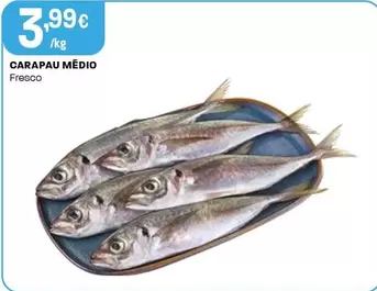 Carapau Medio