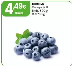 Mirtilo