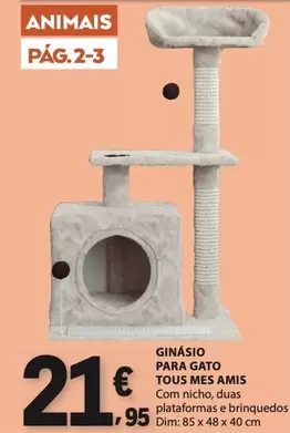 Tous - Ginasio Para Gato