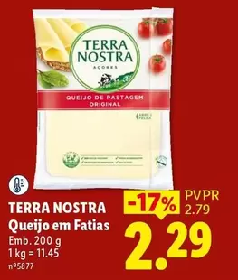 Terra Nostra -  Queijo Em Fatias