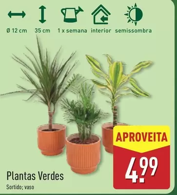 Plantas Verdes