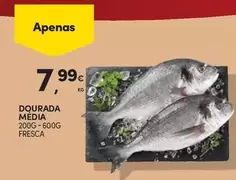Dourada Media