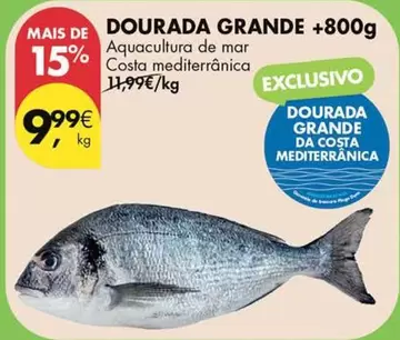 Aquacultura - Dourada Grande +800g