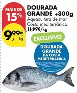 Aquacultura - Dourada Grande +800g