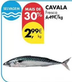 Cavala
