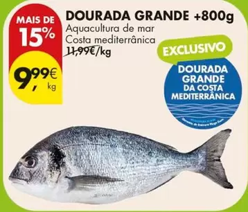 Aquacultura - Dourada Grande +800g