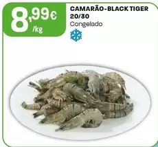 Camarão-Black Tiger 20