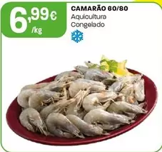 Camarão 60/80