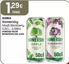 Somersby - Sidra Maçã/Blackberry