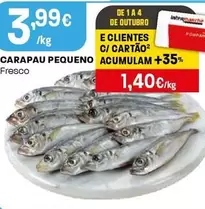 Carapau Pequeno