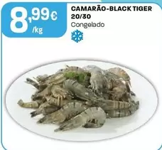 Camarão-Black Tiger 20/30
