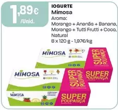 Mimosa - Iogurte Aroma Morango/Ananás/Banana