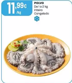 Polvo