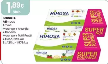 Mimosa - Iogurte