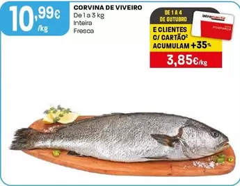 Corvina De Viveiro Inteira/Fresca
