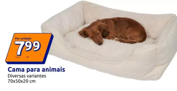 Cama Para Animais