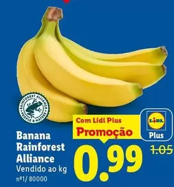 Lidl - Banana Rainforest Alliance