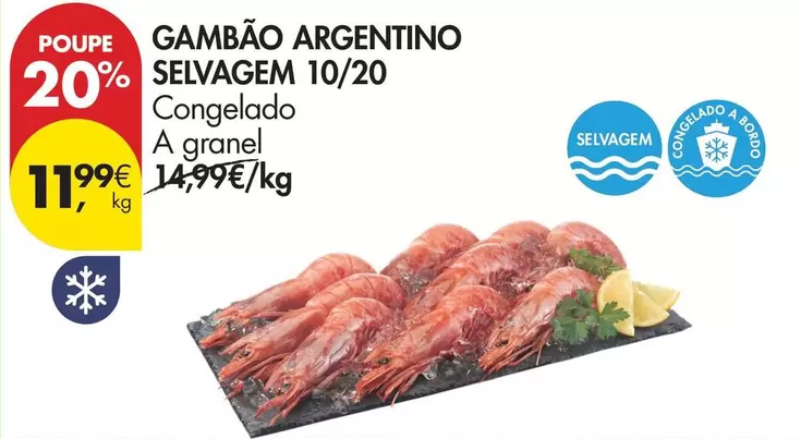 A+ - Gambão Argentino Selvagem