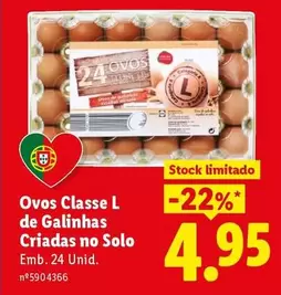 Ovos Classe L De Galinhas Criadas No Solo