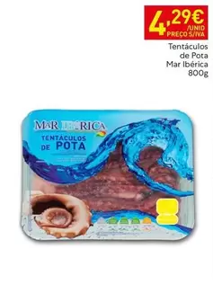 Mar Ibérica - Tentaculos De Pota