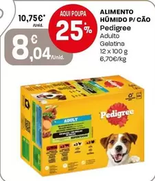 Pedigree - Alimento Humido P/ Cao