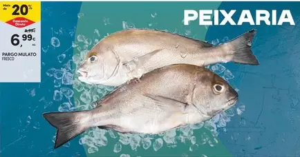 Pasco Milato