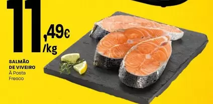 Salmão De Viveiro
