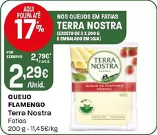 Terra Nostra - Queijo Flamengo
