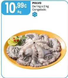 Polvo