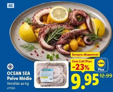 .Com - Ocean Sea Polvo Medio