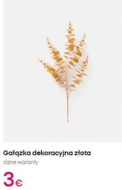 Gatqzka Dekoracying Ztota