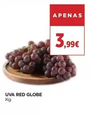 Globe - Uva Red