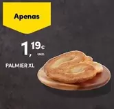 Palmier Xl