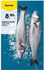 Robalo Médio
